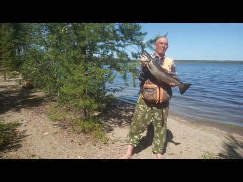 Видео: Всё лето на острове. 6 серия 