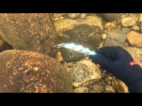 Видео: ДНО РЕКИ УСЫПАНО БЛЕСНАМИ И ВОБЛЕРАМИ / THE BOTTOM OF THE RIVER IS STRUTTED WITH SPINTERS AND TURNS