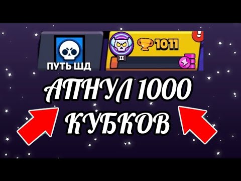 Видео: АПНУЛ 1000 КУБКОВ НА ПРОЕКТЕ - ПУТЬ ШД! 