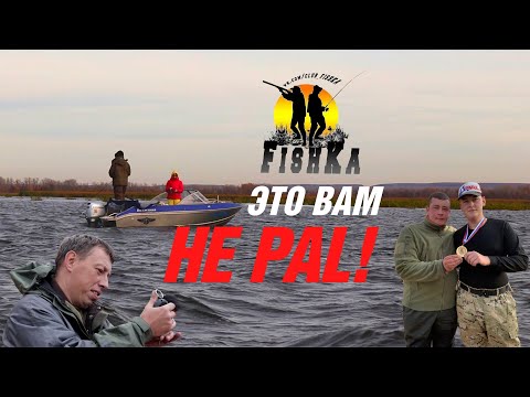 Видео: ОСЕННИЕ РЫБОЛОВНЫЕ СОРЕВНОВАНИЯ #FISHKA2025!!! ЭТО ВАМ НЕ PAL