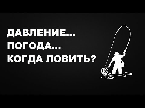 Видео: НИКТО НЕ ПОСМОТРИТ ДО КОНЦА. АТМОСФЕРНОЕ ДАВЛЕНИЕ и его влияние на УСПЕХ РЫБАЛКИ | SeMano TV