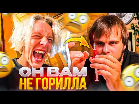Видео: ДАНИЛА ГОРИЛЛА ПОДСЕЛ НА ИГЛУ? | УГАРНАЯ НОЧЬ НА СТРИМ ХАТЕ | Кореш, Парадеевич, Горилла и Фрама