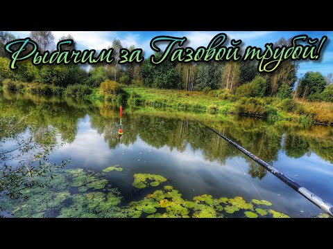 Видео: РЫБАЛКА НА ПОПЛАВОК! ОТБОРНАЯ ПЛОТВА, ПОДЛЕЩИК И ДАЖЕ ЯЗЬ ОСЕНЬЮ!