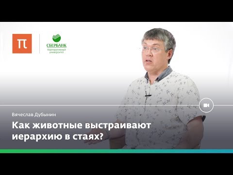 Видео: Мозг лидеров и мозг подчиненных — Вячеслав Дубынин