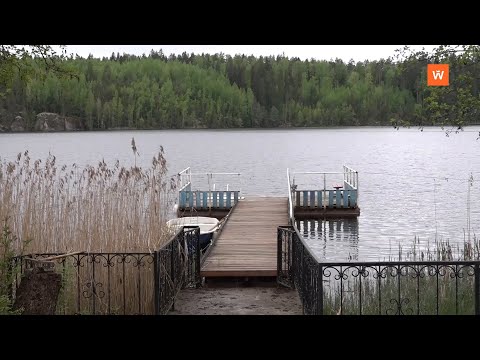 Видео: Программа "Выборгская сторона" от 29 мая 2021 года