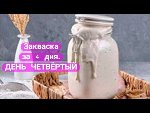 Видео: ПШЕНИЧНАЯ ЗАКВАСКА ЗА 4 ДНЯ.И ЭТО ЧЕТВЁРТЫЙ ДЕНЬ!