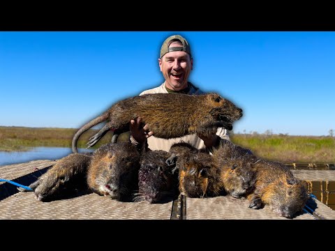 Видео: Первая в этом сезоне грандиозная охота на нутрию: болотный хаос, змеи и бургеры из болотной крысы!