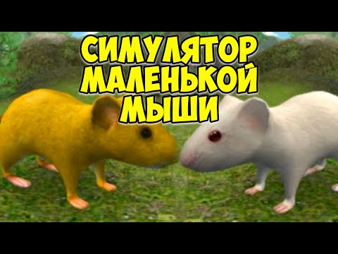 Видео: 😍СИМУЛЯТОР МЫШИ🐁Мышонок победил барсука🐭Белая мышь