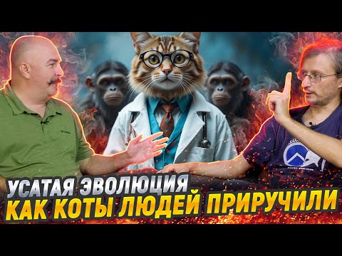Видео: Жуков и Дробышевский про эволюцию котов и людей