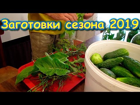 Видео: Что заготавливаем в этот сезон 2019г. - сушим, солим, маринуем. (08-09.19г.) Семья Бровченко.