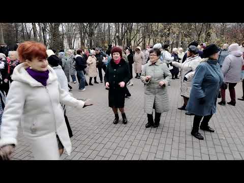 Видео: Танцы в Гомеле. 08.11.2025 г. 