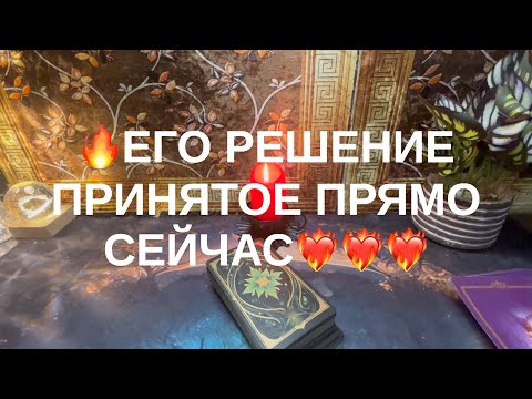 Видео: 8 ноября 2025 г.