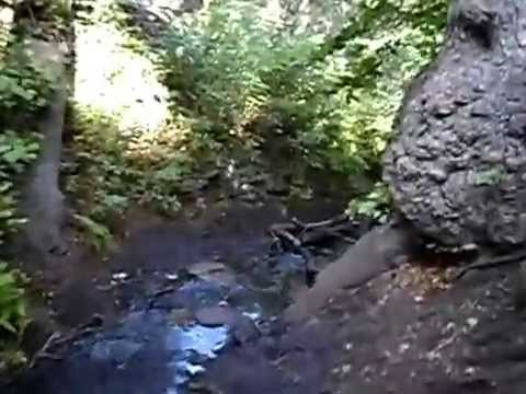 Видео: Ущелье ведьм. Баянаул. Казахстан. Часть 2