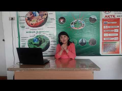 Видео: Өсімдіктердің көбеюі