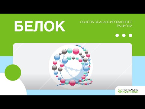 Видео: О белках и их роли для организма: мнение эксперта