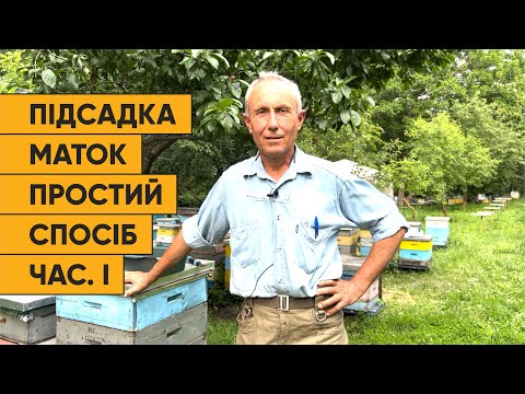 Видео: Метод підсадки бджоломаток від Єгошина частина І