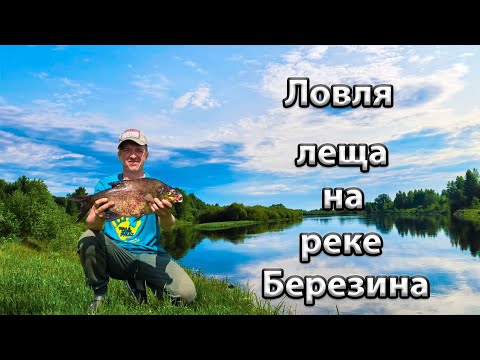 Видео: Ловля леща на реке Березина.