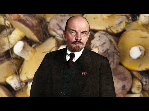 Видео: ЛЕНИН - НЕ ГРИБ! (РАЗОБЛАЧЕНИЕ)