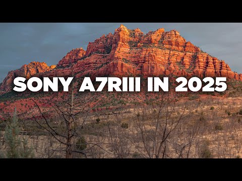 Видео: Стоит ли покупать Sony A7RIII в 2025 году?