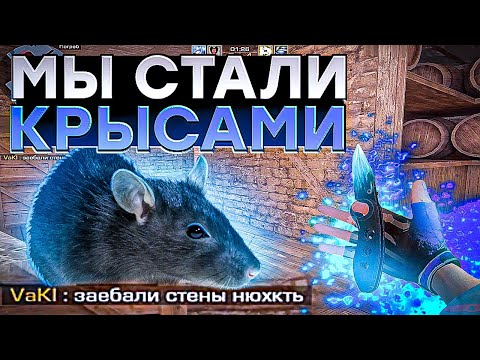 Видео: ТИМЕЙТ - КИБОРГ!🤩 / демка с голосом