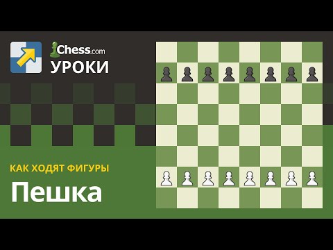 Видео: Как ходят фигуры: Пешка