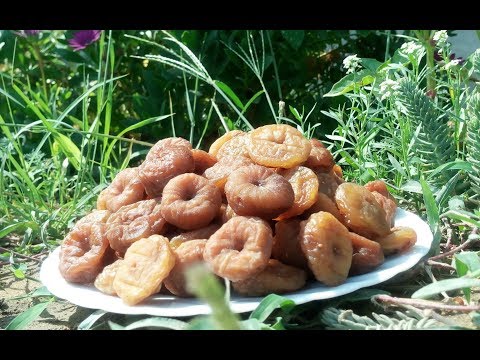 Видео: Как сушить инжир на зиму. Органический сушенный инжир. How to Cook Dried Figs