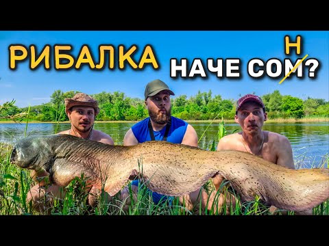 Видео: Перша фідерна рибалка цього літа! +Конкурс!