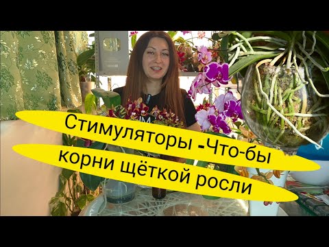 Видео: Самое СТИМУЛИРУЮЩИЕ Видео❗Полный ОБЗОР МОИХ СТИМУЛЯТОРОВ РОСТА для ОРХИДЕЙ