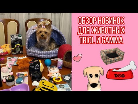 Видео: Огромные покупки из зоомагазина // Распаковка огромной посылки с зоотоварами TRIOL и Gamma