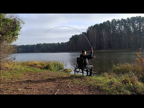 Видео: Сломать фидер. Получится или нет? Жёсткий тест Каида Инспирион 3,6/90