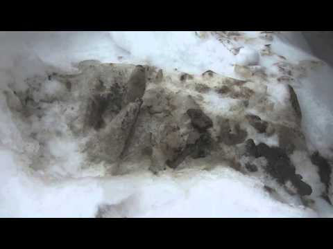 Видео: Тема 2 Загрязнение воздуха автомобилями