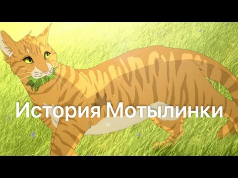 Видео: История Мотылинки(по просьбе подписчицы)/Коты-воители