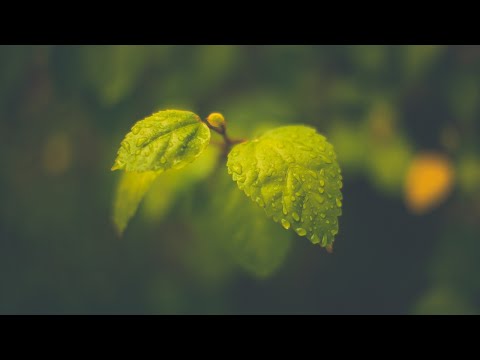 Видео: Показываю 2 способа как идеально размыть фон на видео в after effects