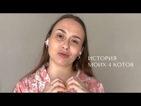 Видео: Жизнь с 4 котами | Планы о приюте | История кошатницы Вики