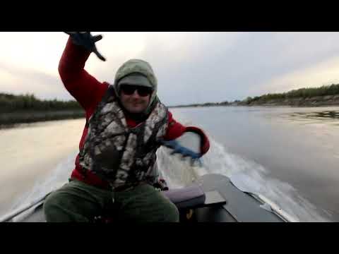 Видео: река Иртыш рыбалка, базы отдыха