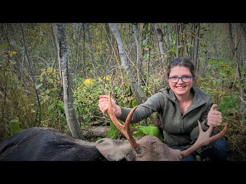Видео: Это охота за пропитанием.