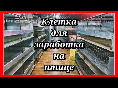 Видео: Хочешь ЗАРАБОТАТЬ на ПТИЦЕ в ЛПХ? Делай ТАКИЕ брудеры и клетки