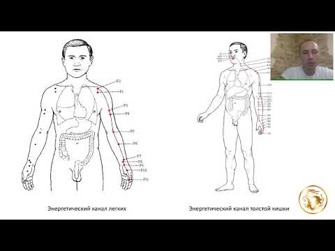Видео: Вебинар: Энергетические каналы человека и их связь с органами
