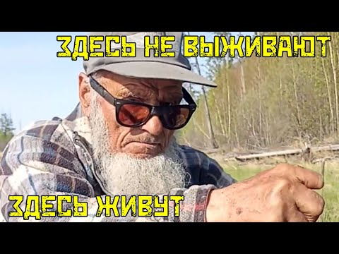 Видео: Ведь здесь не выживают, Здесь живут. Таежные истории дяди Толи и не только