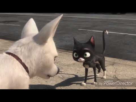 Видео: Вольт "не женюсь"