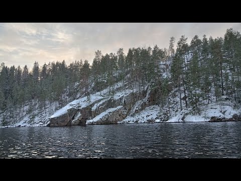 Видео: 20221202 ничего на озере Черном