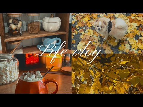 Видео: Vlog: Распаковка для кухни | Осенние будни🍁