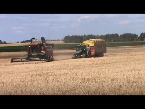 Видео: Уборка озимого ячменя 2025: Гомсельмаш GS12A1, Палессе GS12A1 и John Deere