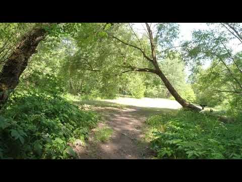 Видео: Big bike trip №11 2023: Р58 - водохранилище Вяча, ч.4.