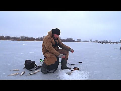 Видео: В этой протоке полно рыбы ! Зимняя рыбалка на ОКЕ! Рыбалка с ночёвкой!