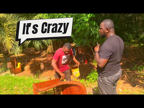 Видео: #watch - С таким отношением мы никогда не добьёмся прогресса. Будьте осторожны 😡. #wow #