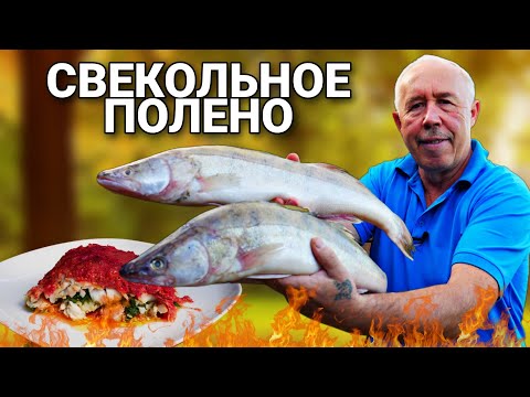 Видео: СУДАК в СВЕКОЛЬНОМ ПОЛЕНЕ в ПЕЧИ на ДРОВАХ.