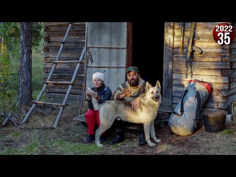 Видео: Все лето и осень в тайге с женой и двумя собаками. Жизнь вдали от цивилизации. Спускаемся до избы 35