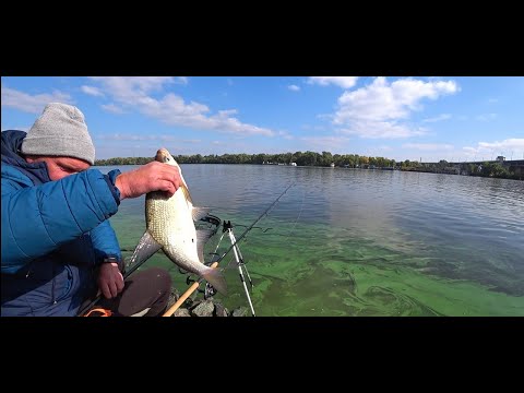 Видео: #ФидернаярыбалкаКиев#НабережнаяДнепрЛещ,плотва,карась. Рыбалка на фидер в Октябре. Новая Набережная.