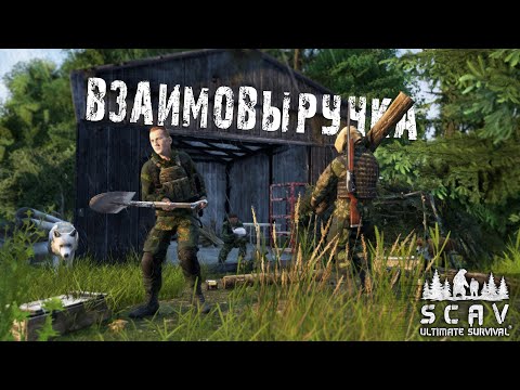 Видео: #3 Взаимовыручка | DayZ | Сервер SCAV PVP |  #survival  #dayz #pvp #hard